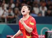 开云体育APP下载-日本乒乓球队逆转瑞典乒乓球队，樊振东打破历史纪录的简单介绍