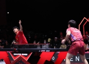 开云体育中国-波兰乒乓球队轻取比利时乒乓球队，张本智和爆发神勇的简单介绍