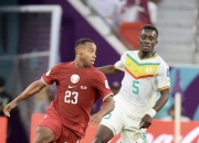 开云官网-塞浦路斯队成功晋级2022年卡塔尔世界杯的简单介绍