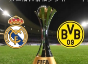 开云体育官网-多特蒙德取得胜利，迎来连胜的简单介绍