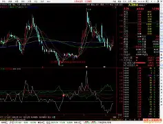 包含100T完胜Misfits,Bin关键制胜的词条 包含100T完胜Misfits,Bin关键制胜的词条
