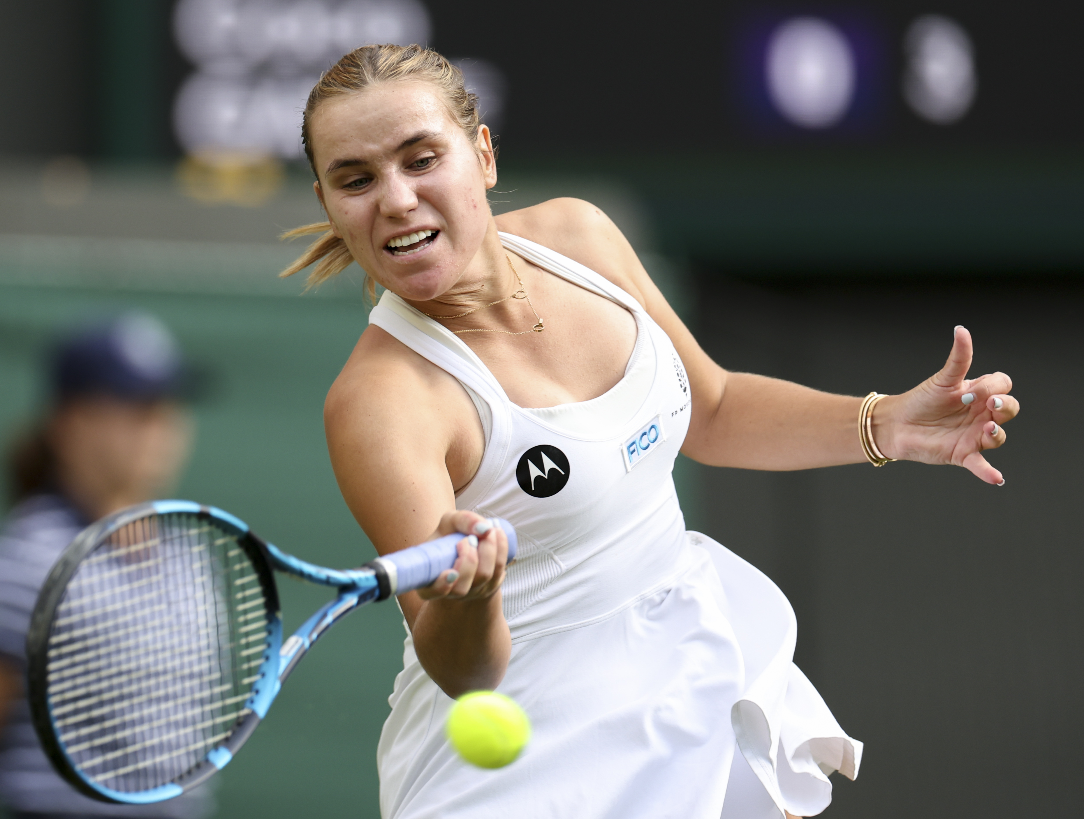 关于温网横扫法网,蒂姆高光表现的信息 关于温网横扫法网,蒂姆高光表现的信息