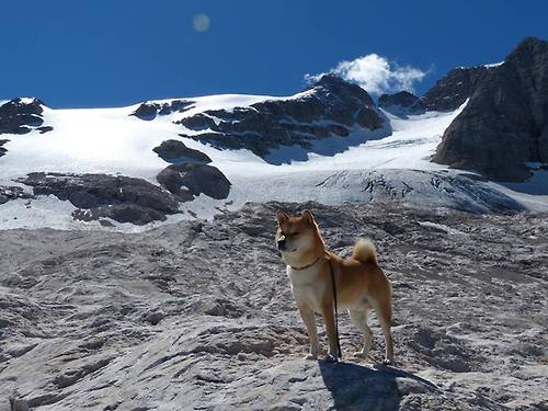 跨时空对决，杰伦格林完美演出，热火巅峰战力胜出上海队